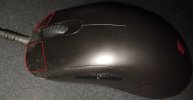 mouse.jpg