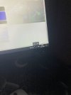 IMG_5084.jpeg