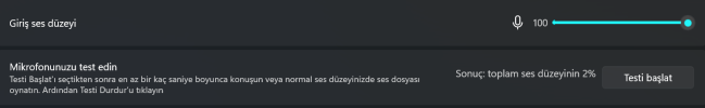 Ekran görüntüsü 2025-01-12 171809.png