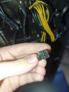 IMG-20250113-WA0025.jpg