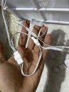 IMG_0356.jpeg