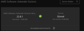 resim_2022-08-25_014450749.png
