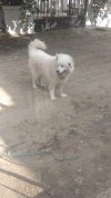 IMG_20220904_221913_436.jpg