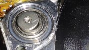 IMG_20220918_184917.jpg
