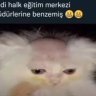 enes990077