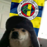 FenerBahçeliDoge