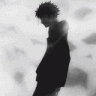 shino