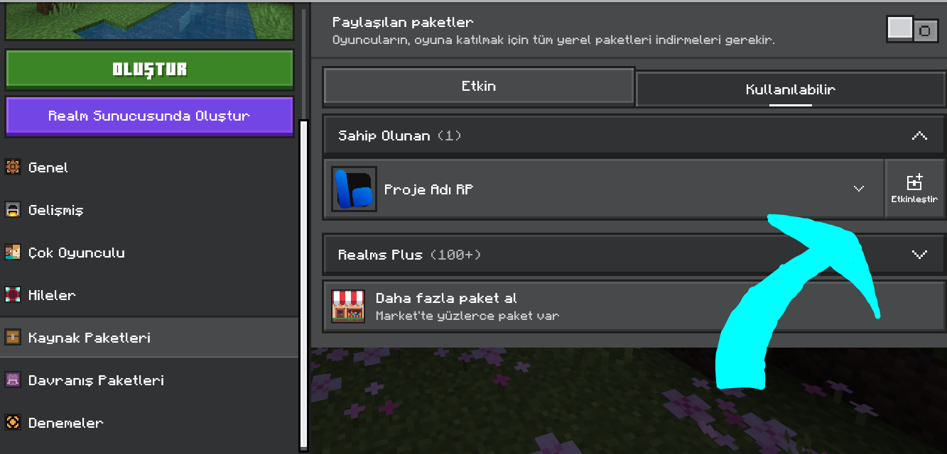 Ekran Alıntısı9.PNG