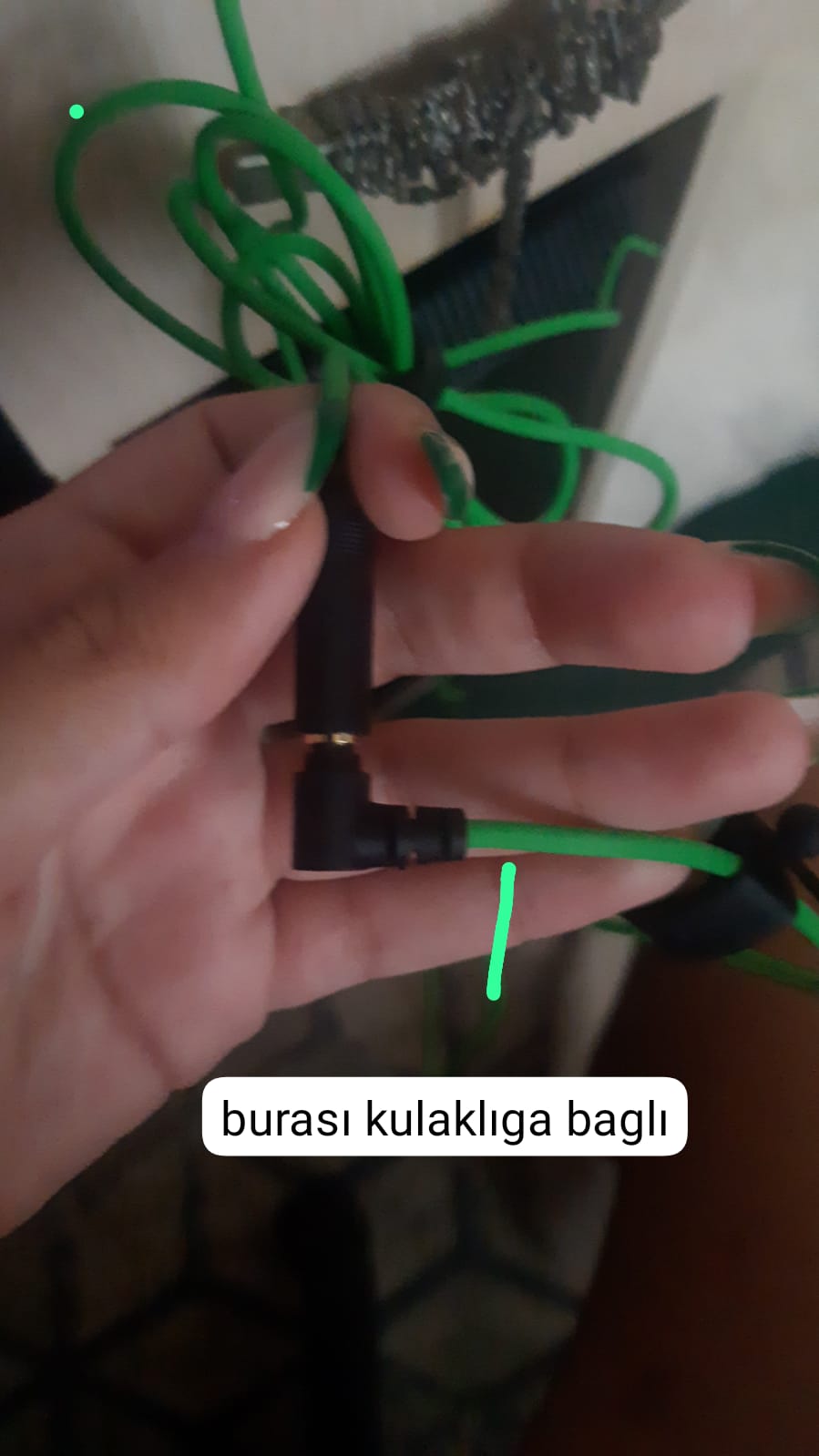 1688650578517-jpeg.550745