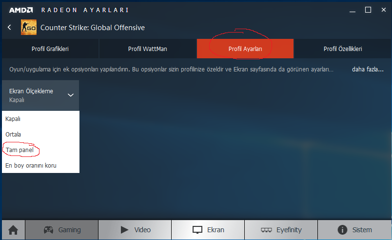 CS:GO AMD Radeon Kartlarda 4:3 1024x768 Tam ekran çözümü (black border, fullscreen,)